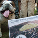 Image for article titled Bulldog Mascots Are Doomed, Flatulent, And Beloved